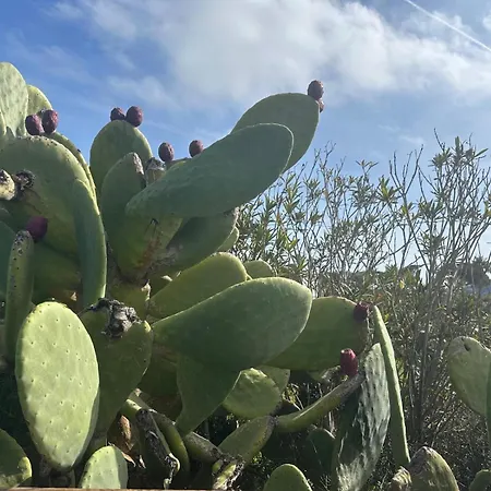 شقة Rebecca House *